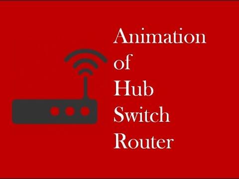 Animation Of Hub, Switch And Router Working