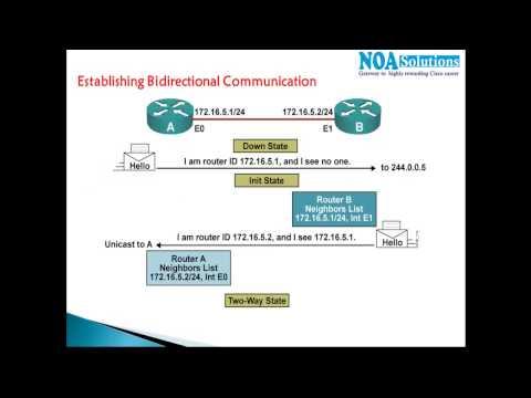 CCNA Routing & Switching :  OSPF Seven Stages