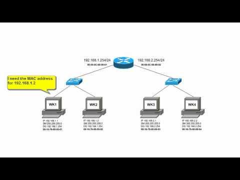 How Are IP Packets Routed On A Local Area Network?