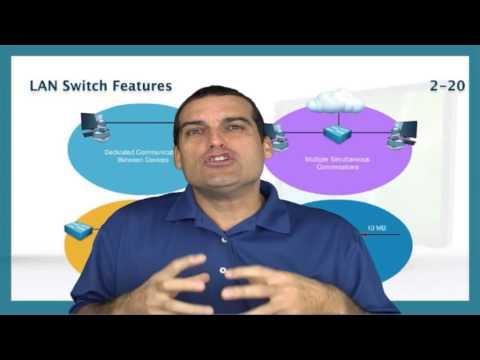 Introducing Routers And Switches