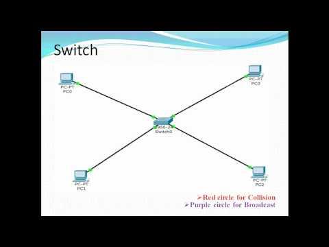 How To Find Broadcast Domain And Collision Domain In A Network