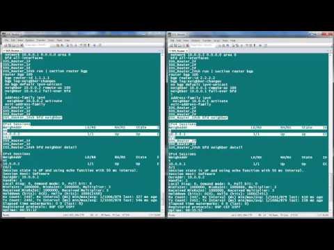 BFD Configuration And Troubleshooting On Cisco IOS And XR Routers