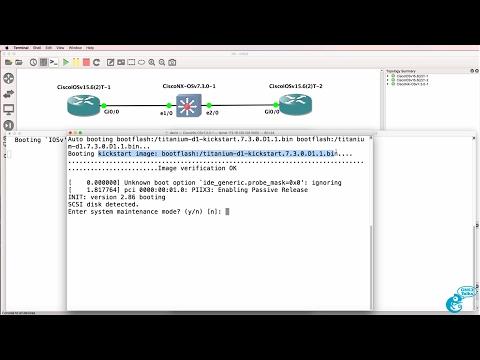 GNS3 Nexus (NX-OSv) Switch Setup And Configuration Part 1: GNS3 Switching Options Part 12